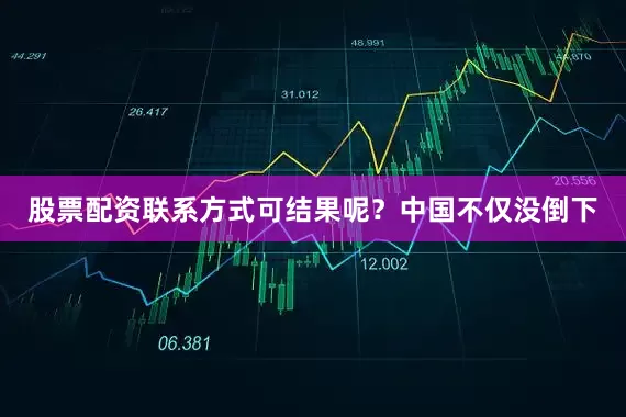 股票配资联系方式可结果呢？中国不仅没倒下